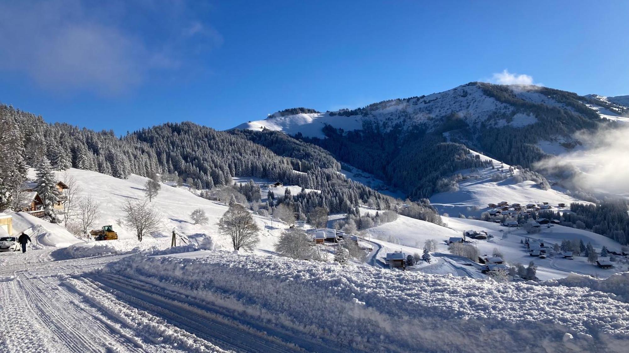 Demi Chalet Le Lachat Нотр-Дам-Дьо-Белкомб Екстериор снимка