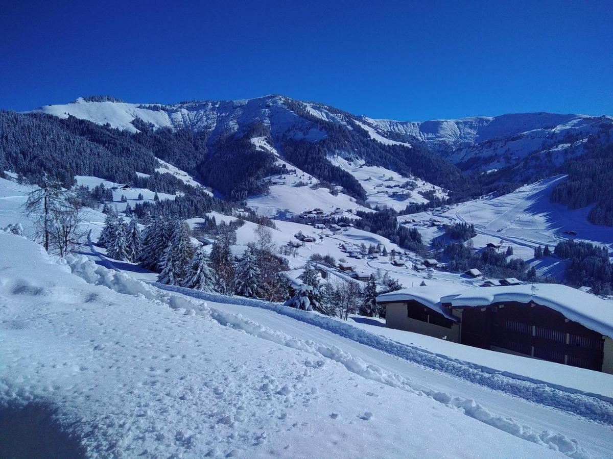 Demi Chalet Le Lachat Нотр-Дам-Дьо-Белкомб Екстериор снимка